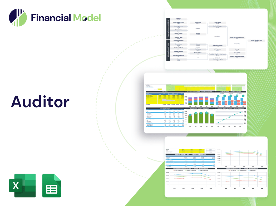 Auditor Financial Model