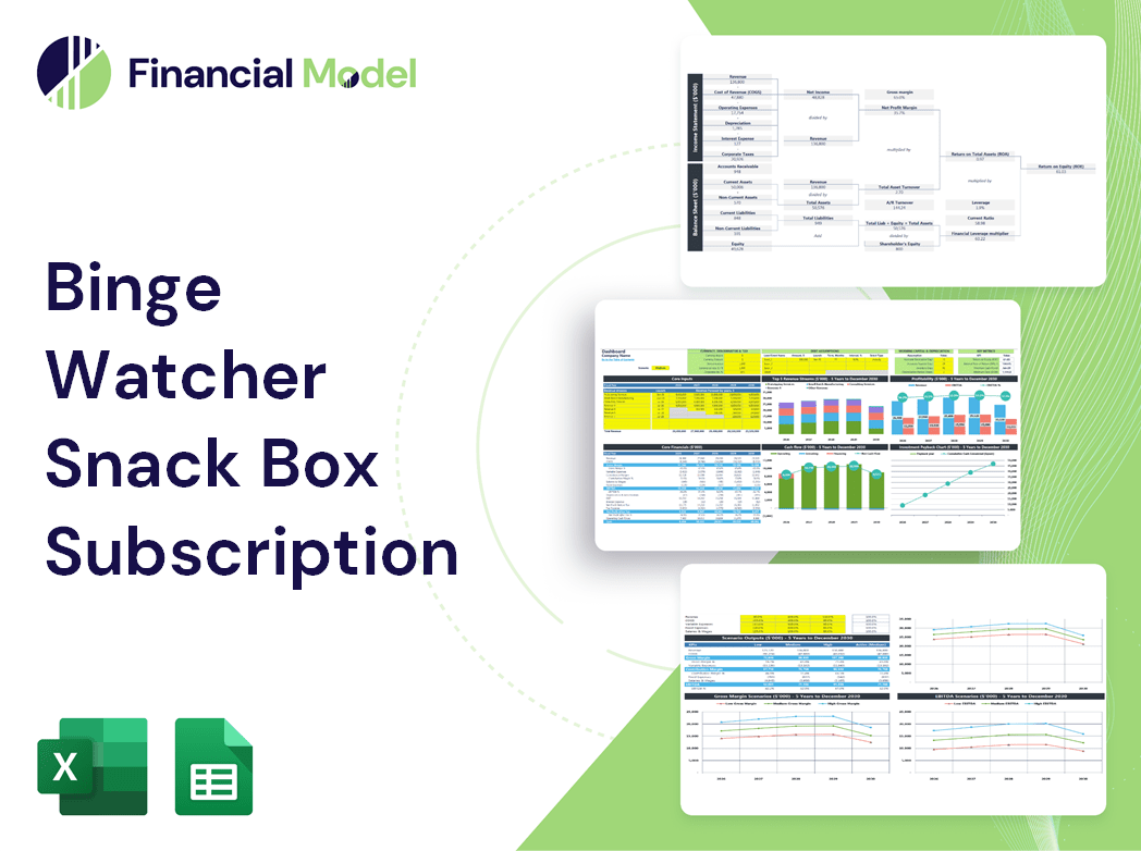 Binge Watcher Snack Box Subscription Financial Model