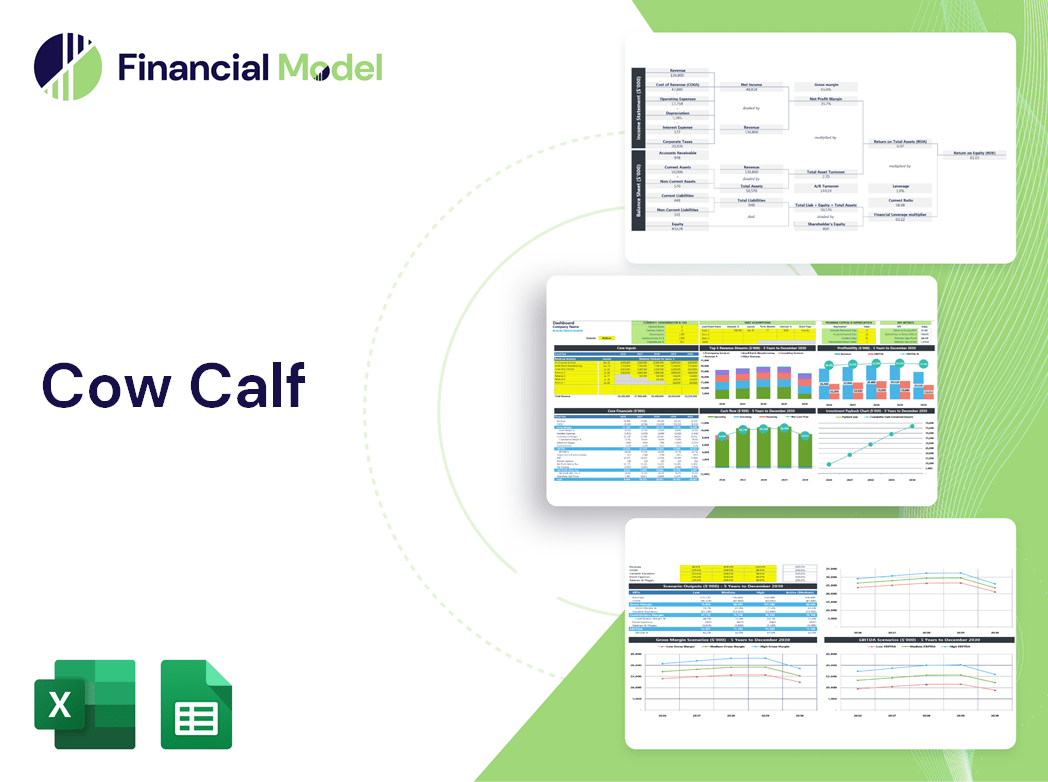Cow Calf Financial Model