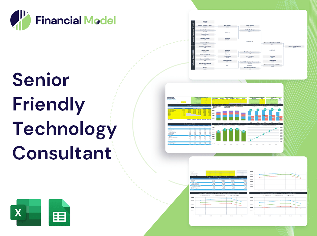 Senior Friendly Technology Consultant Financial Model