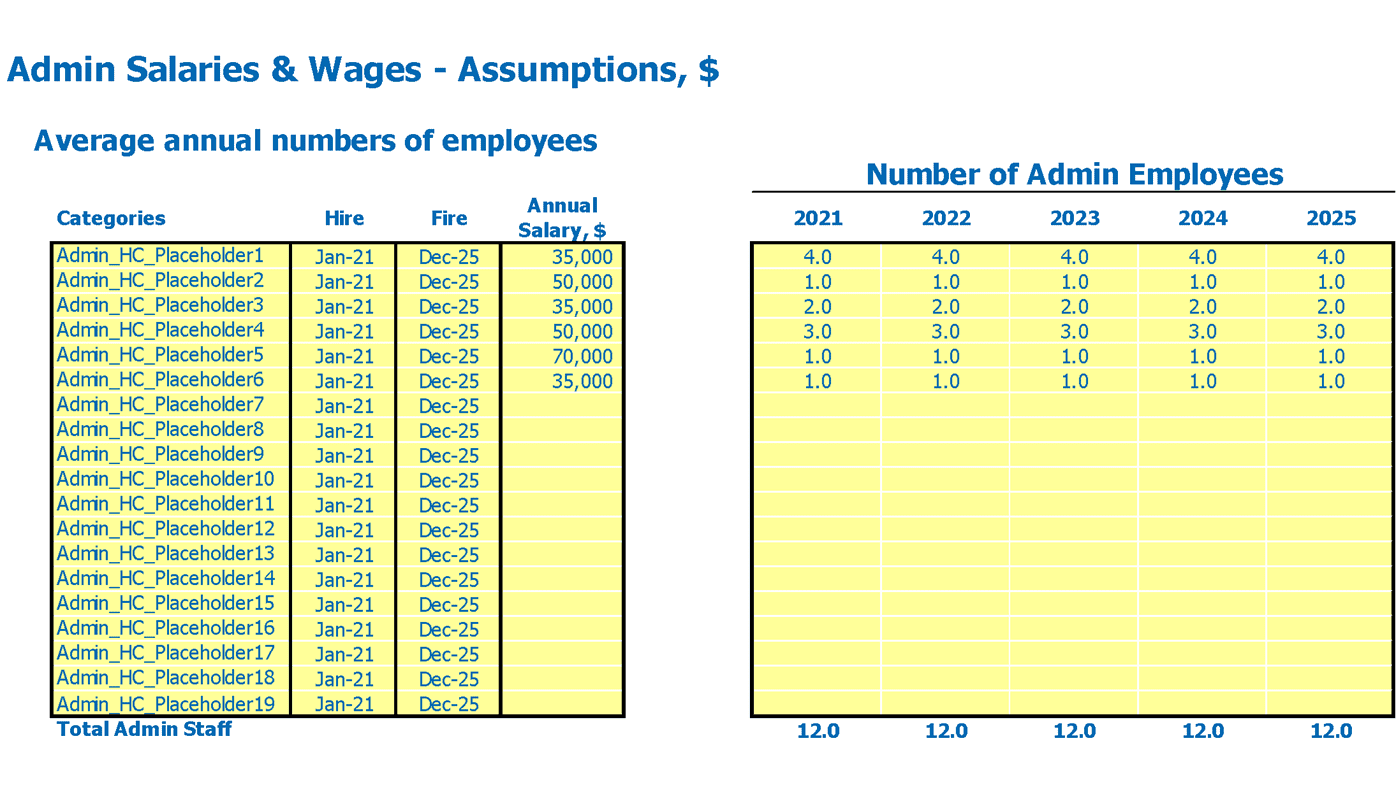 Auditor Financial Forecast Excel Template Admin Wages Inputs