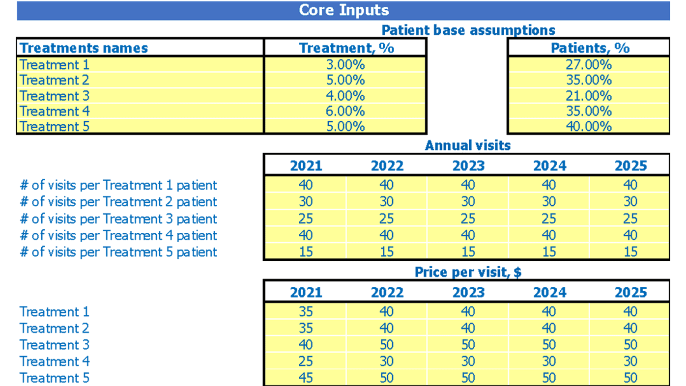 Orthopedic Center Cash Flow Projection Excel Template Dashboard Core Inputs