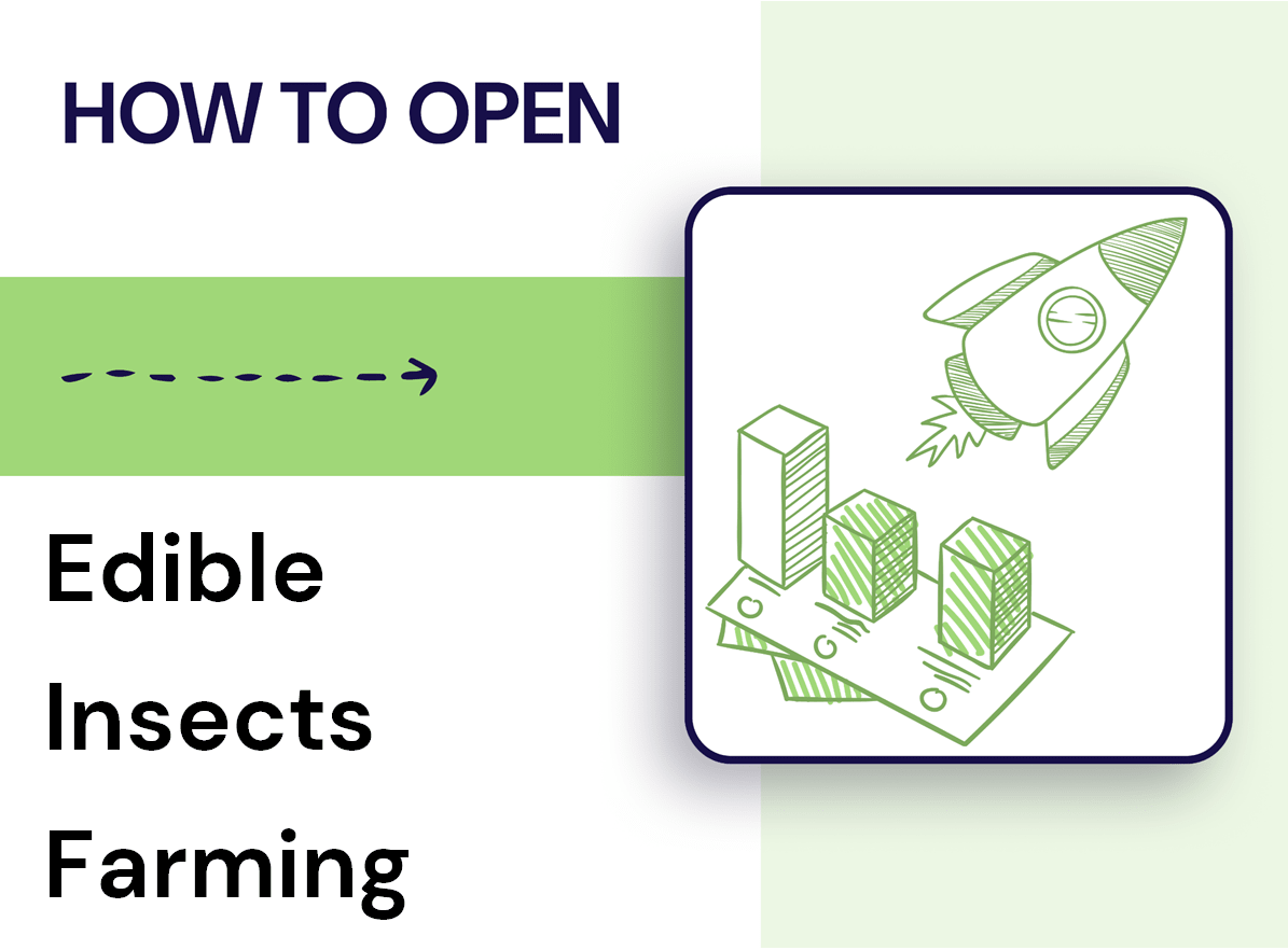 How to Start an Edible Insects Farming Business?