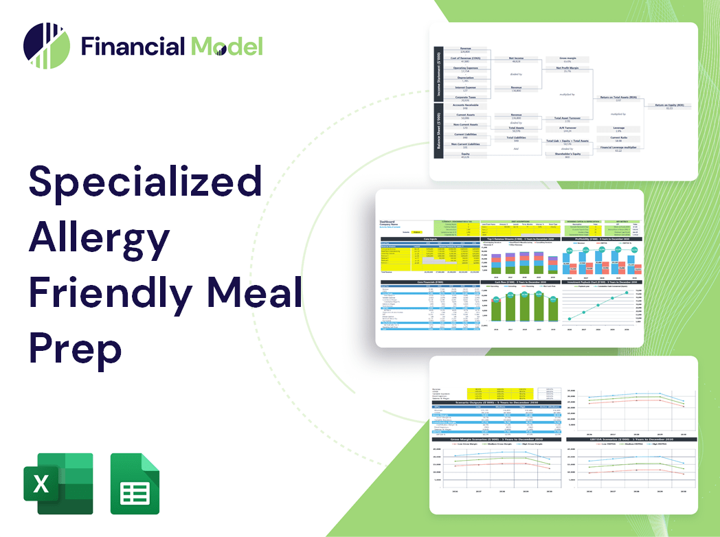 Specialized Allergy Friendly Meal Prep Financial Model