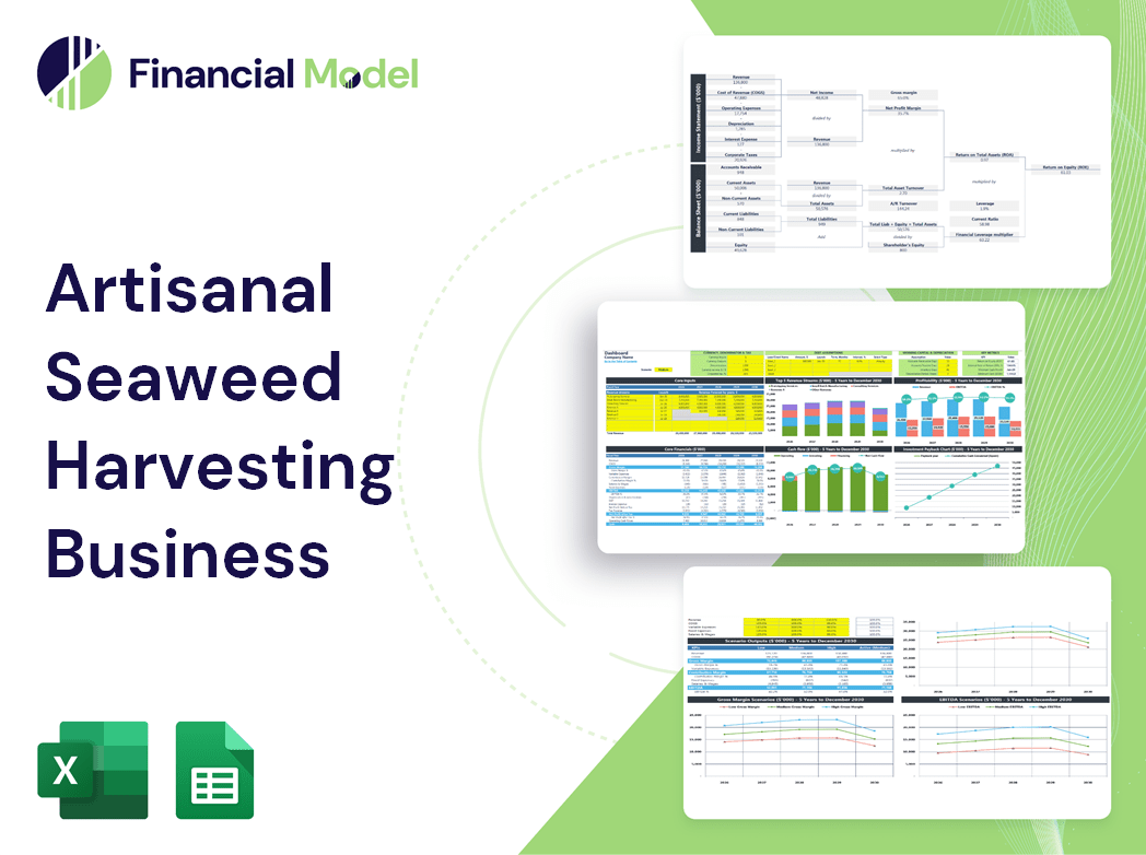 Artisanal Seaweed Harvesting Business Financial Model