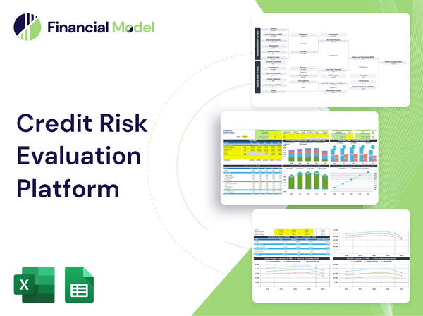 Credit Risk Evaluation Platform Financial Model
