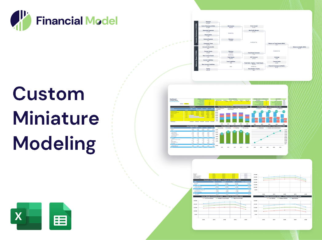 Custom Miniature Modeling Financial Model