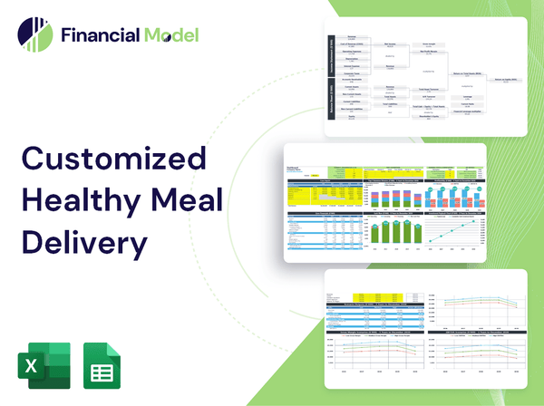 Customized Healthy Meal Delivery Financial Model