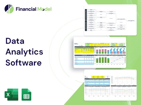 Data Analytics Software Financial Model