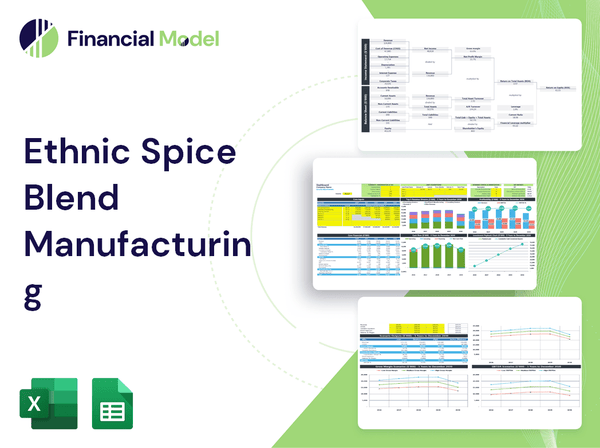 Ethnic Spice Blend Manufacturing Financial Model