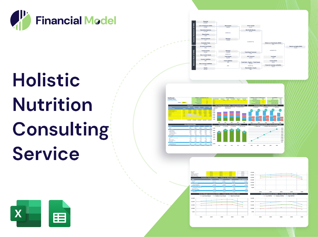 Holistic Nutrition Consulting Service Financial Model