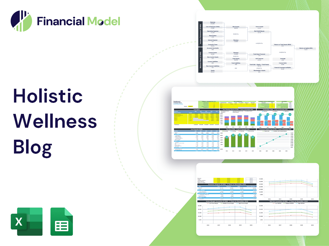 Holistic Wellness Blog Financial Model