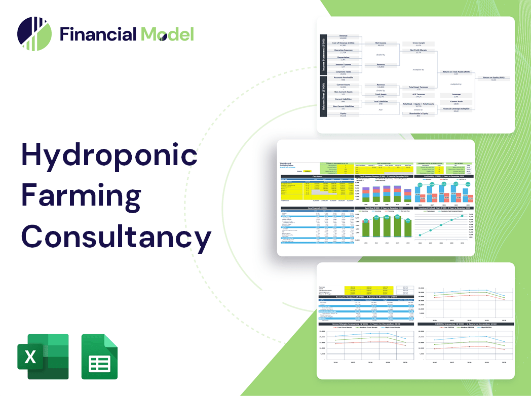 Hydroponic Farming Consultancy Financial Model