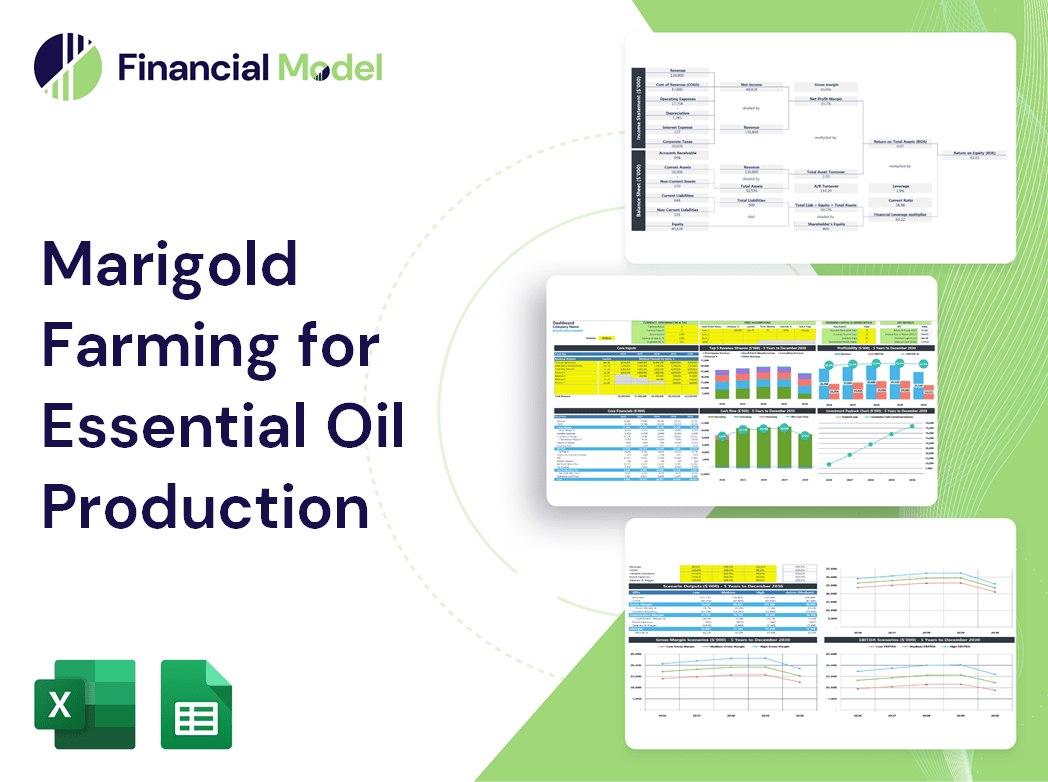 Marigold Farming for Essential Oil Production Financial Model