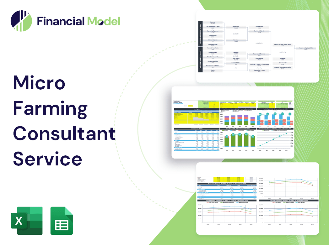 Micro Farming Consultant Service Financial Model