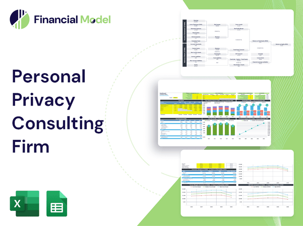 Personal Privacy Consulting Firm Financial Model