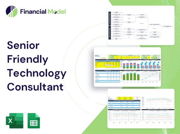 Senior Friendly Technology Consultant Financial Model