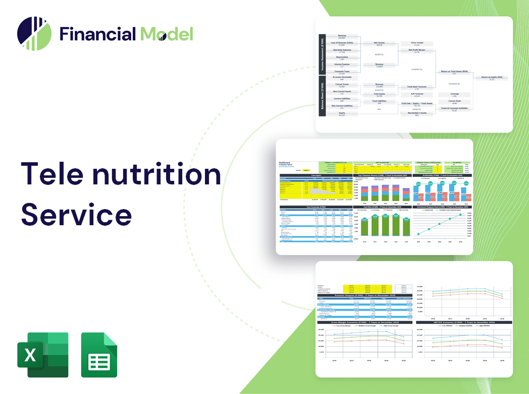 Tele nutrition Service Financial Model