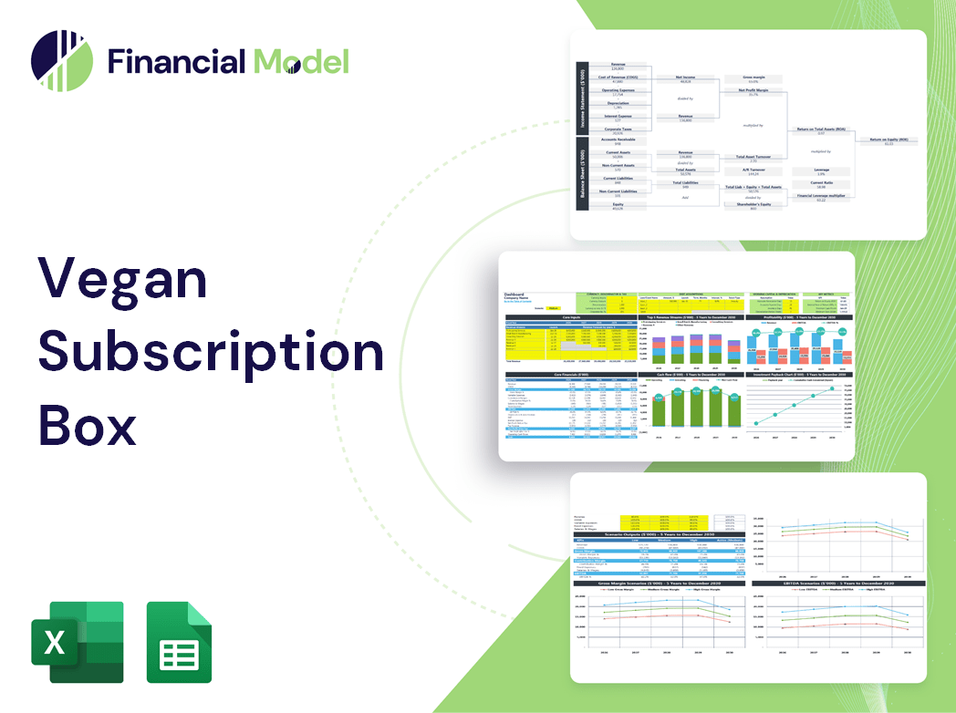 Vegan Subscription Box Financial Model
