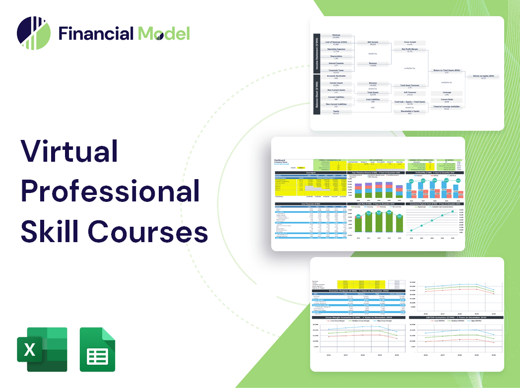 Virtual Professional Skill Courses Financial Model