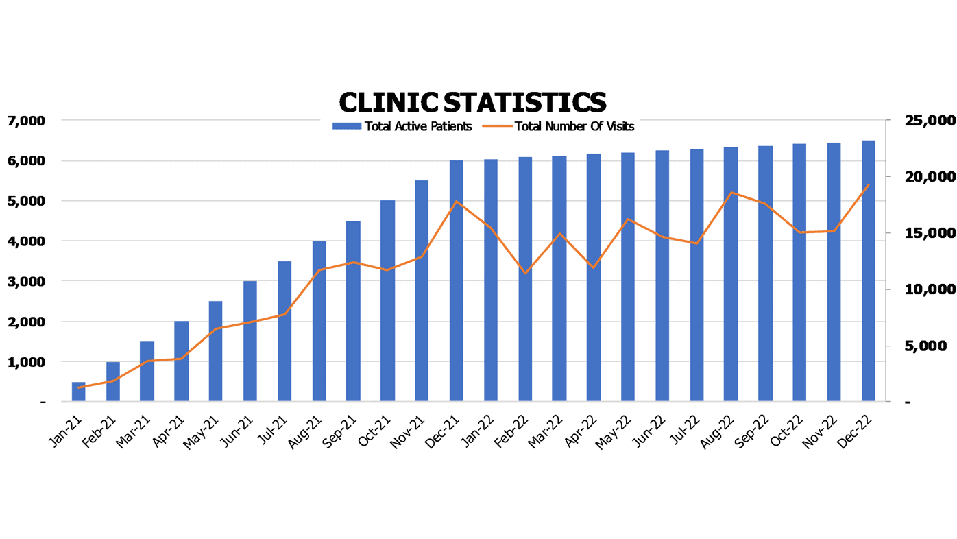 Dermatology Center Business Plan Excel Template Operational Charts Clinic Statistics Active Patients And Visits