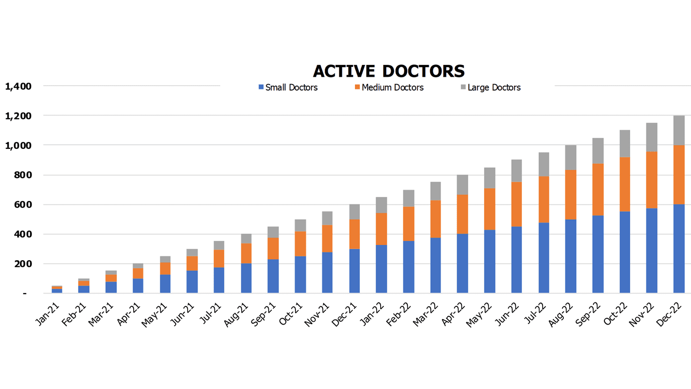 Medical Tourism Financial Projection Excel Template Operational Charts Active Doctors