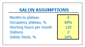 Salon Business Plan Template Dashboard Core Inputs Sales Assumptions