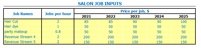 Salon Business Plan Template Dashboard Core Inputs Salon Job Input